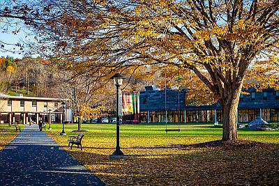 A peaceful Quad during Fall's Foliage